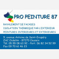 Pro Peinture 87